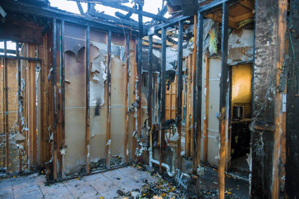 Professional Fire Damage Assessment technician working in Glenwood, MN