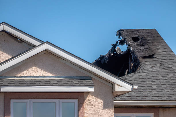 Top rated local Fire Damage Assessment specialists in Glenwood, MN